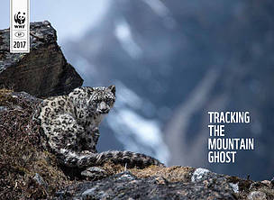Tracking the Mountain Ghost
